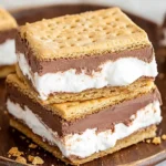 Frozen s'mores dessert bars with marshmallow and chocolate layers