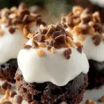 Easy No-Bake Moose Farts