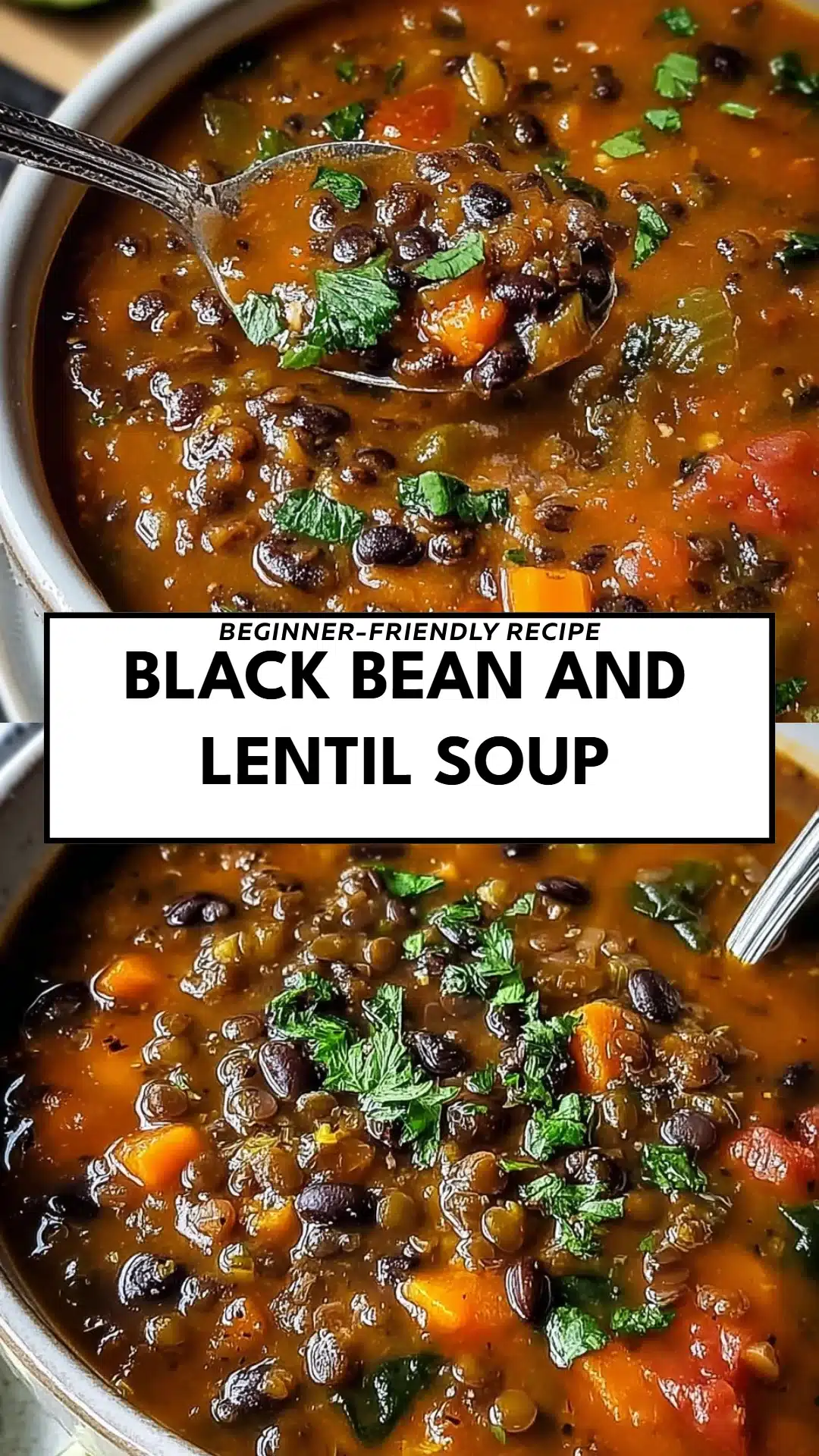Black Bean and Lentil Soup