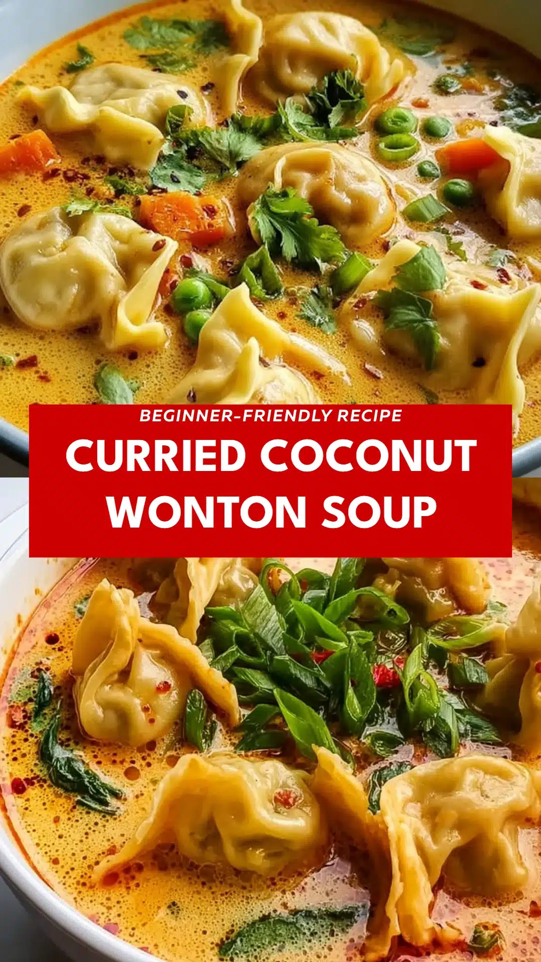 Curried Coconut Wonton Soup