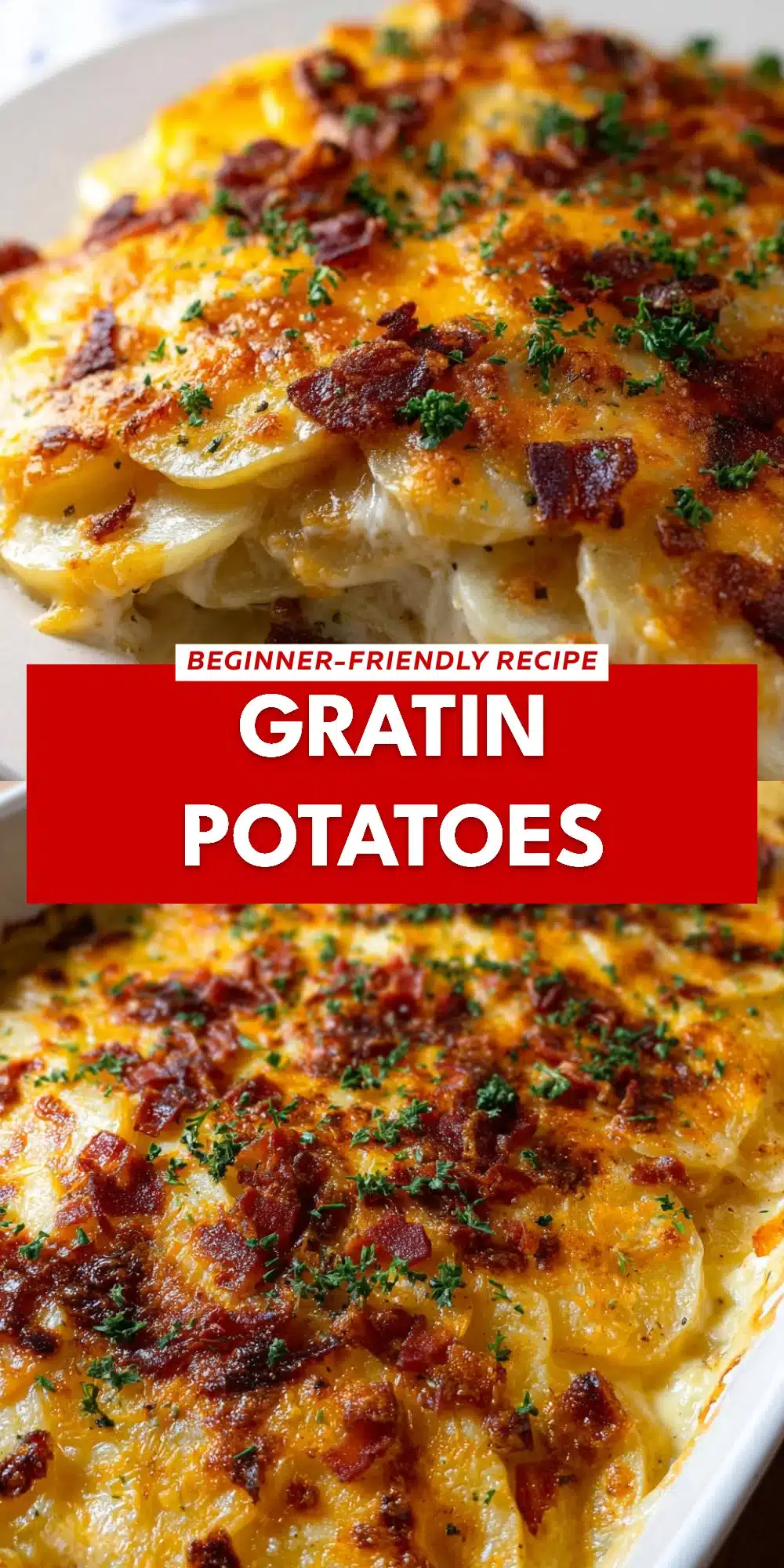 Gratin Potatoes