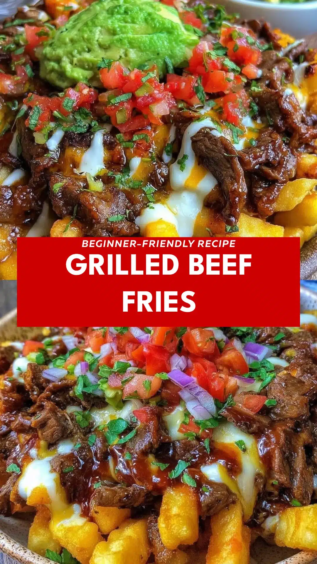 Grilled Beef Fries