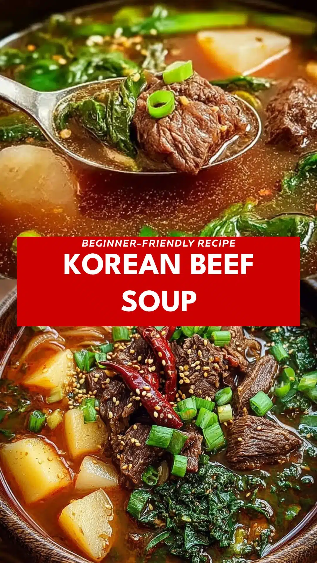 Korean Beef Soup