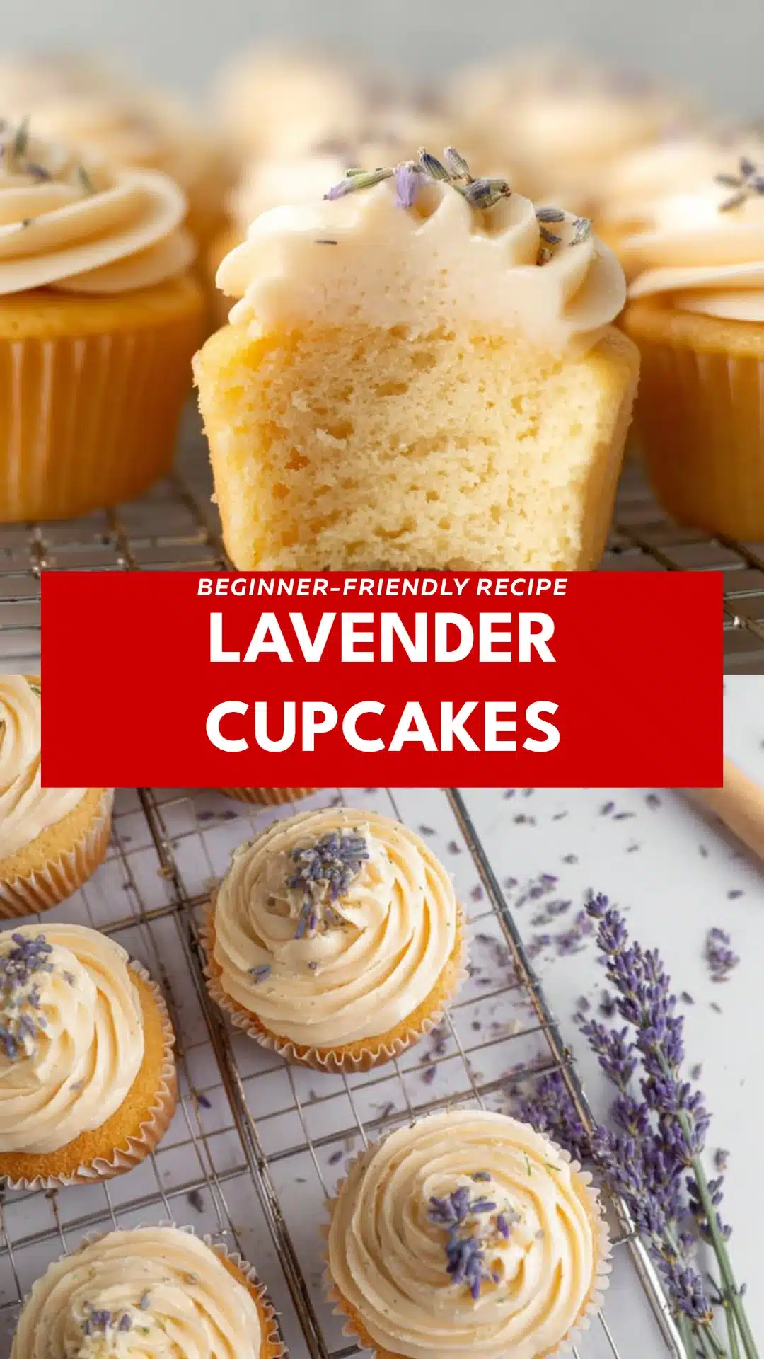 Lavender Cupcakes