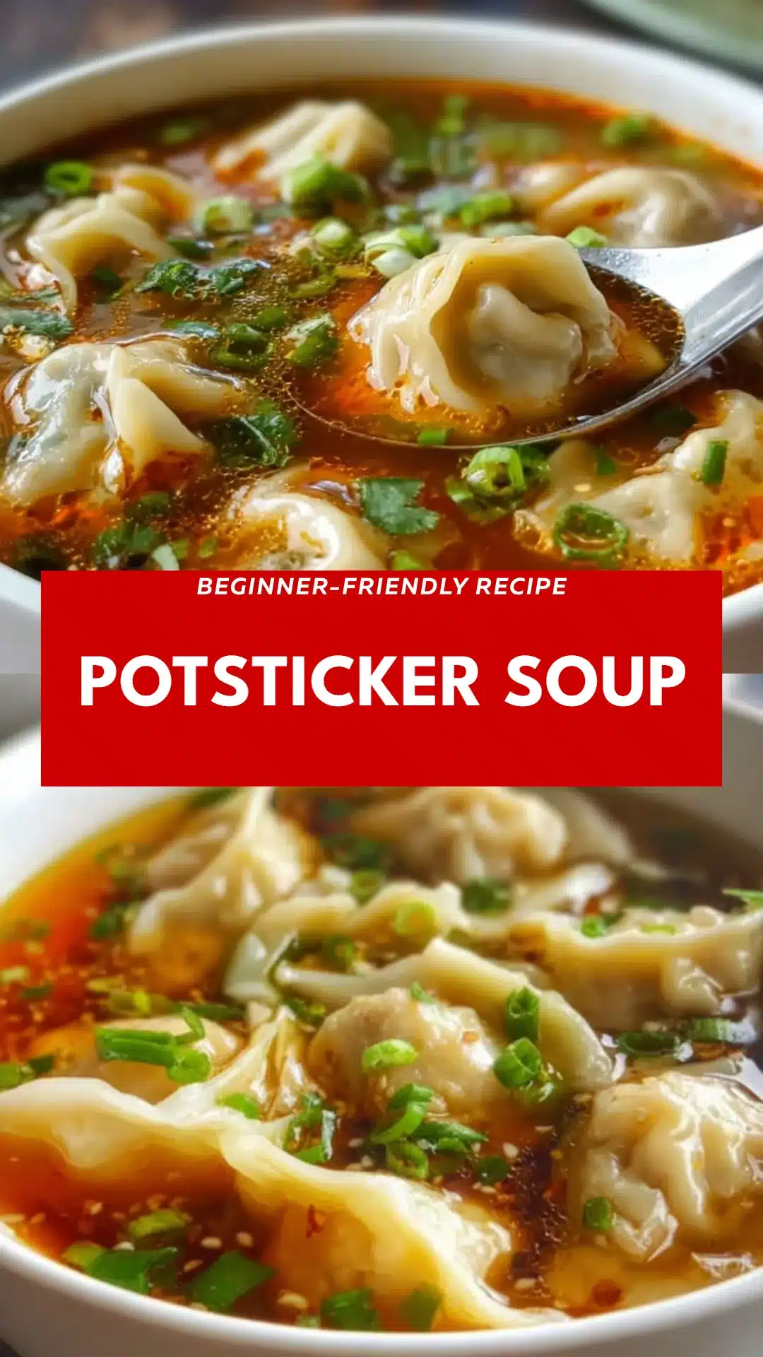 Potsticker Soup