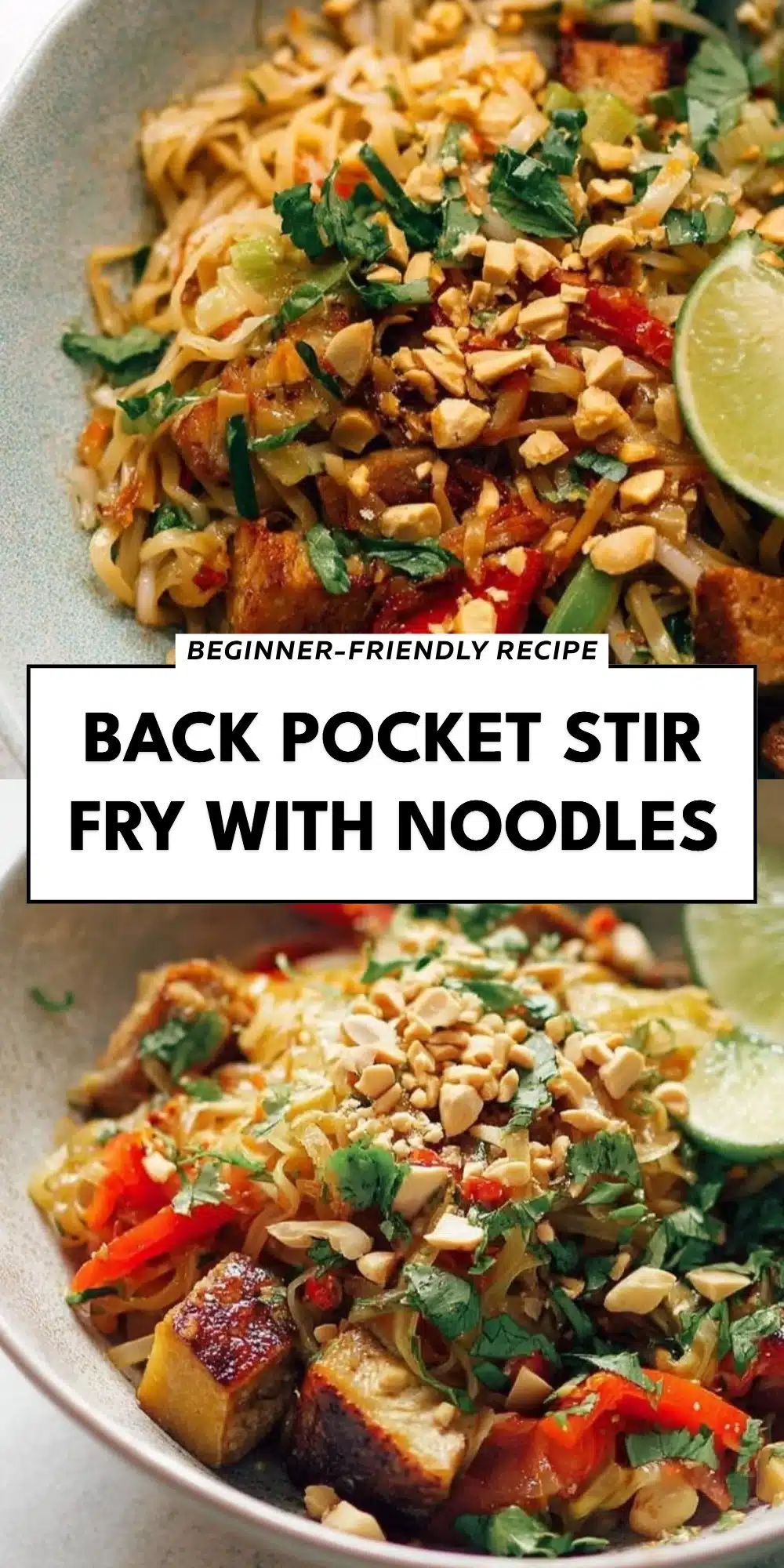 Back Pocket Stir Fry with Noodles