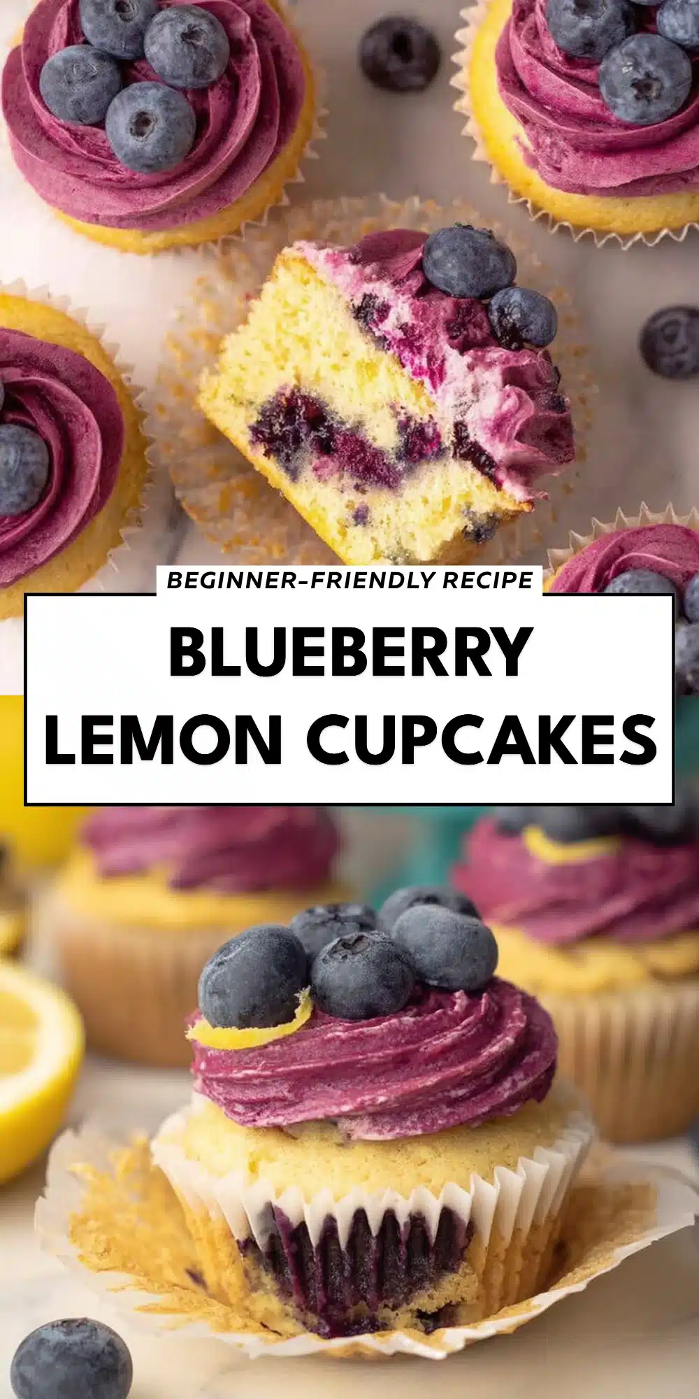 Blueberry Lemon Cupcakes