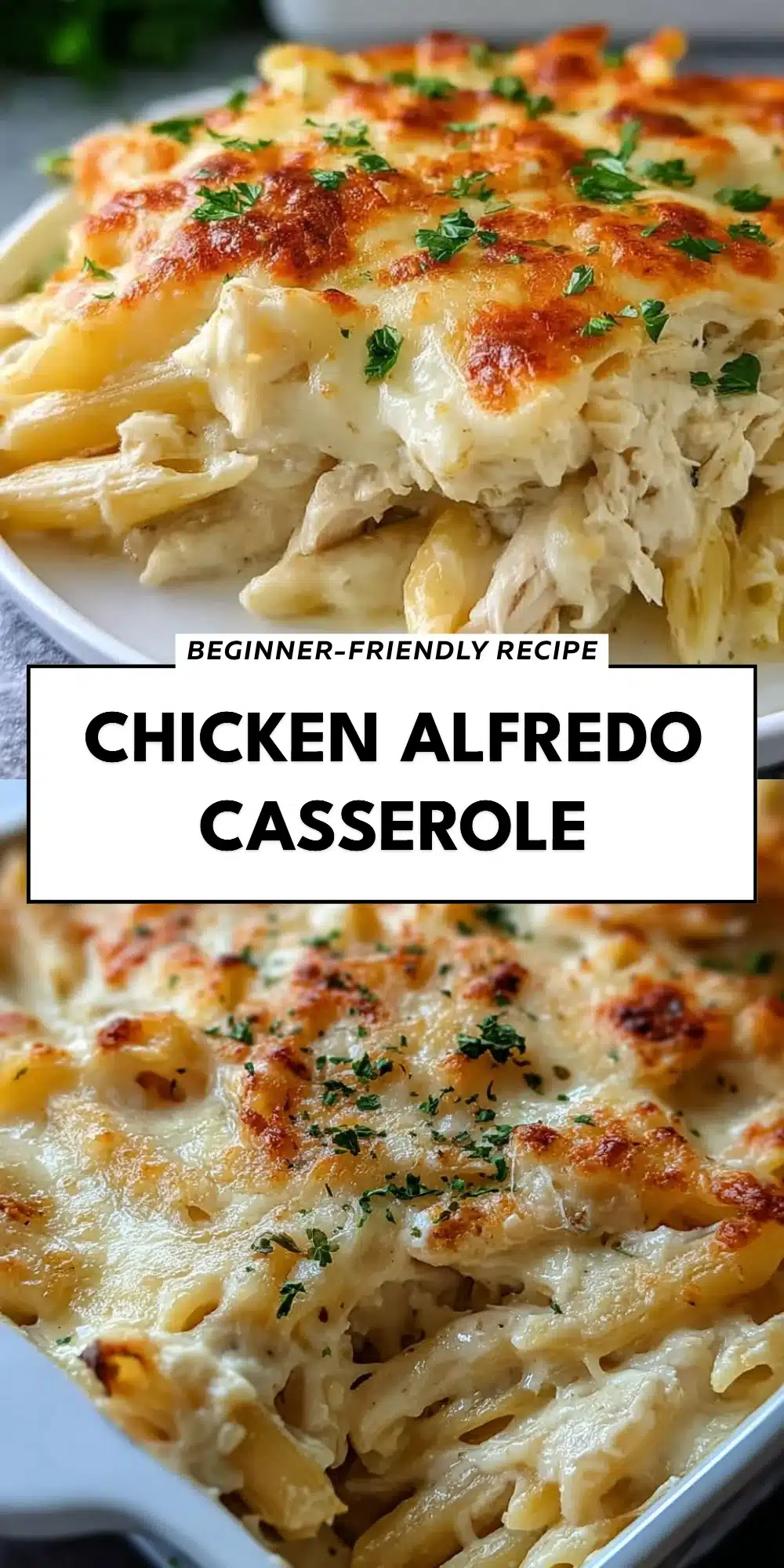 Chicken Alfredo Casserole