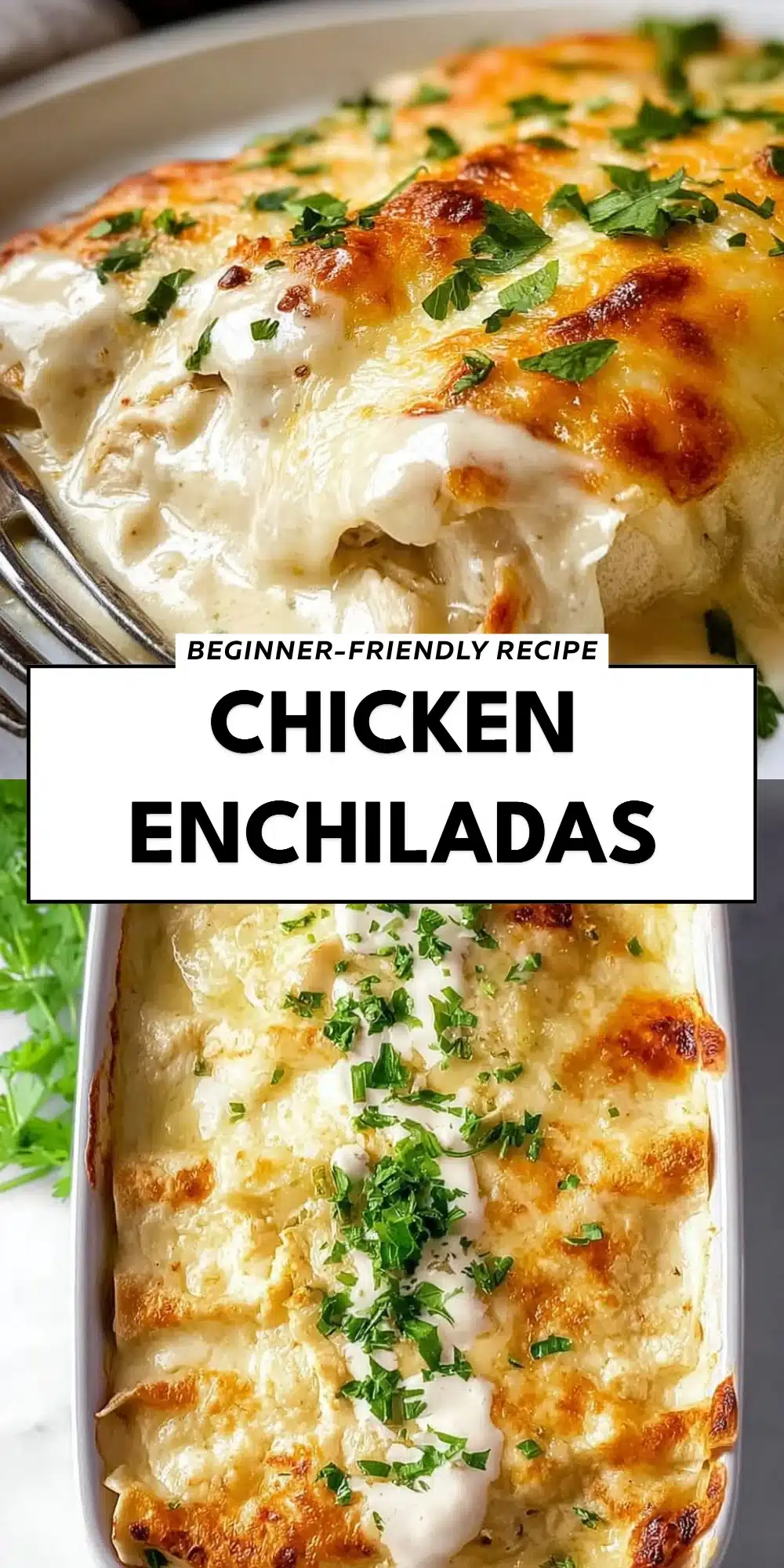 Chicken Enchiladas