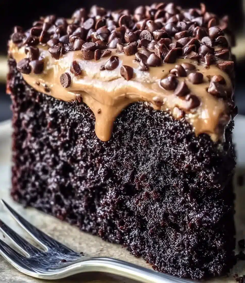 Delicious Chilean Chocolate Cake decorated with chocolate frosting and fruits