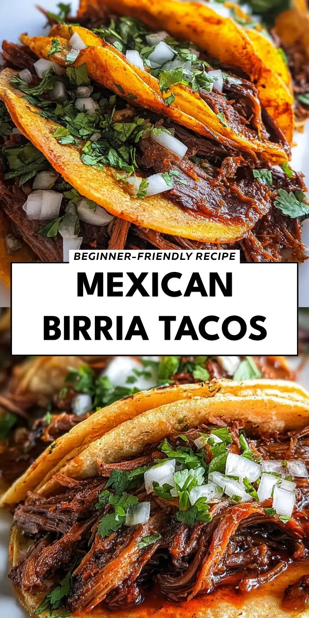 Mexican Birria Tacos