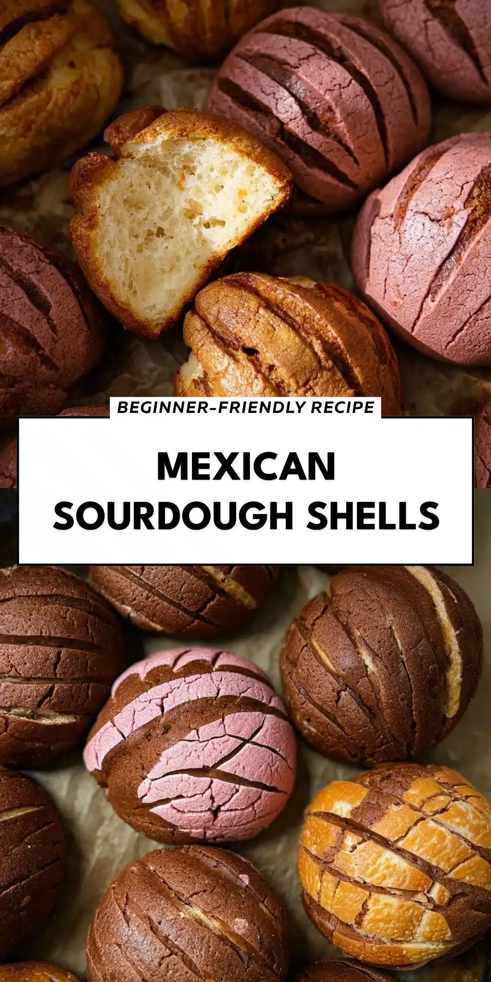 Mexican Sourdough Shells