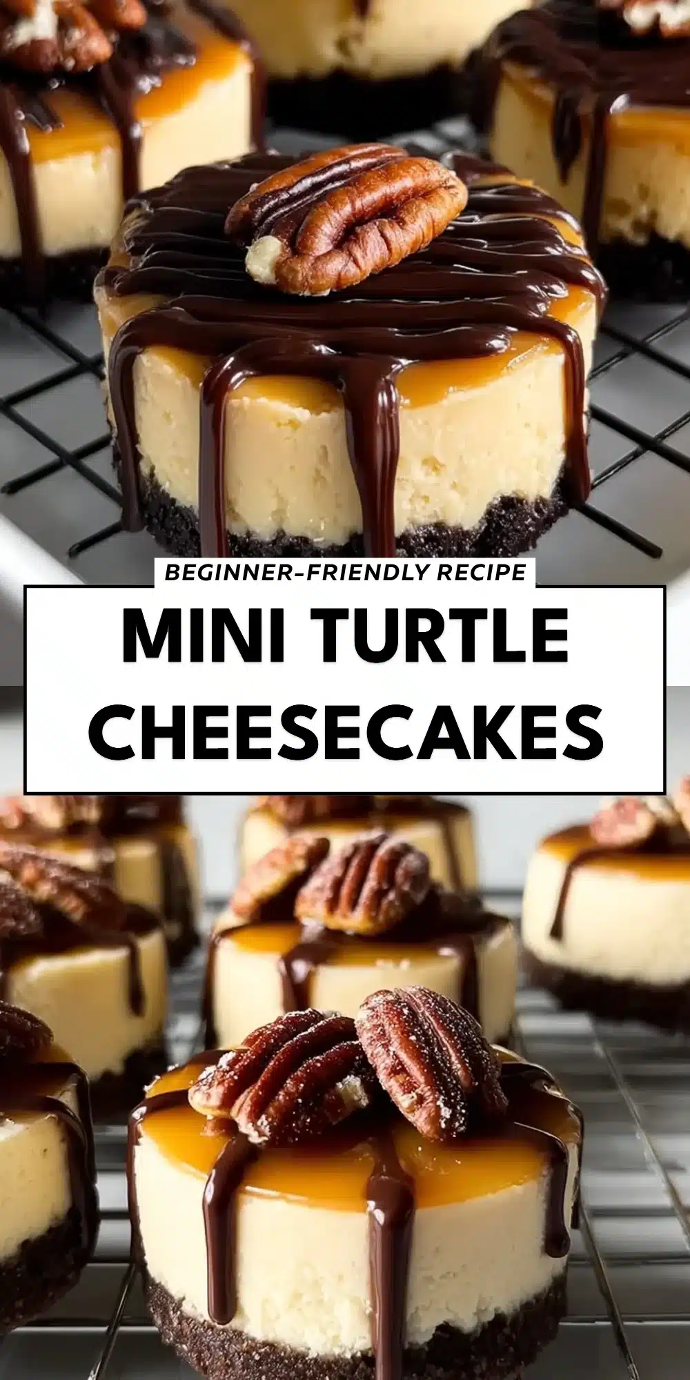 Mini Turtle Cheesecakes