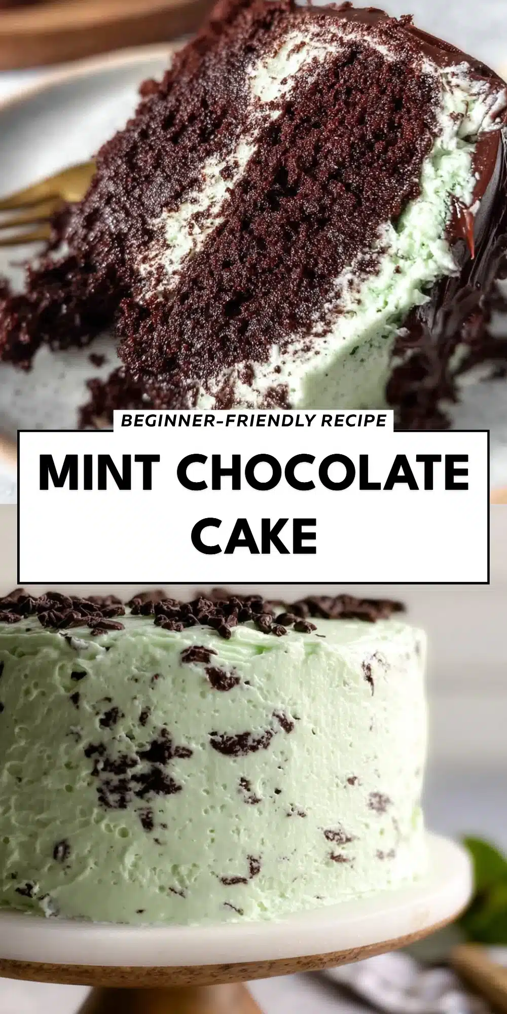 Mint Chocolate Cake