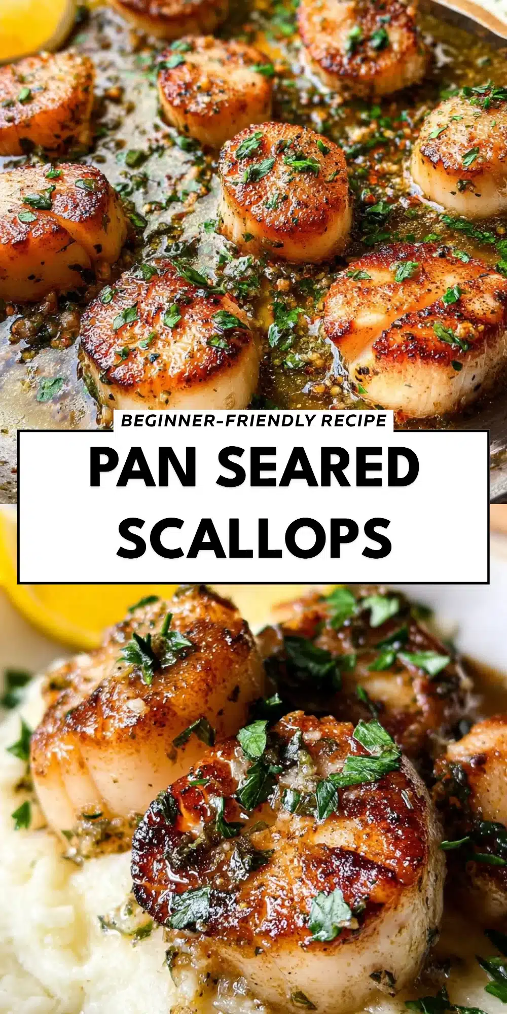 Pan Seared Scallops