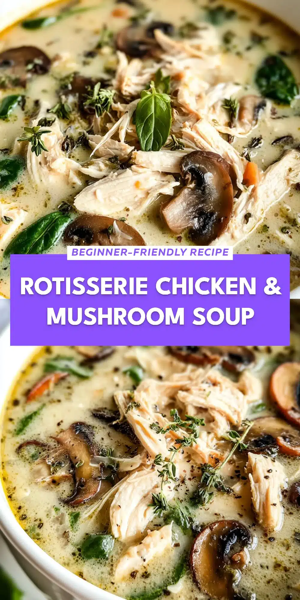 Rotisserie Chicken & Mushroom Soup