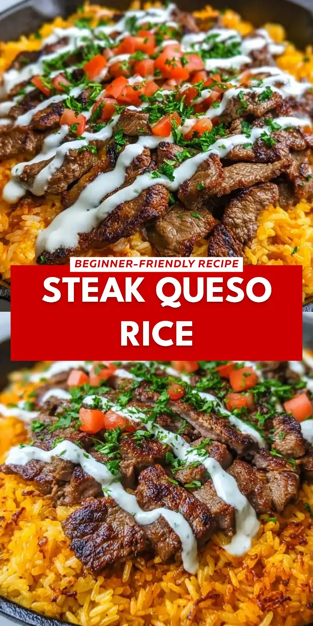 Steak Queso Rice