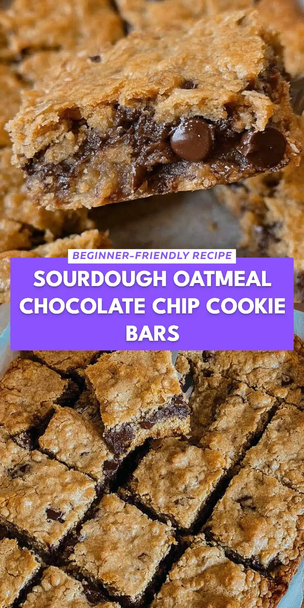 Sourdough Oatmeal Chocolate Chip Cookie Bars