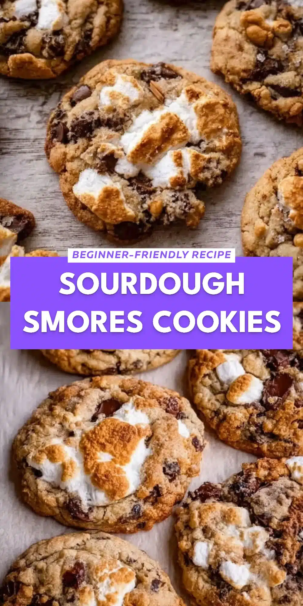 Sourdough Smores Cookies