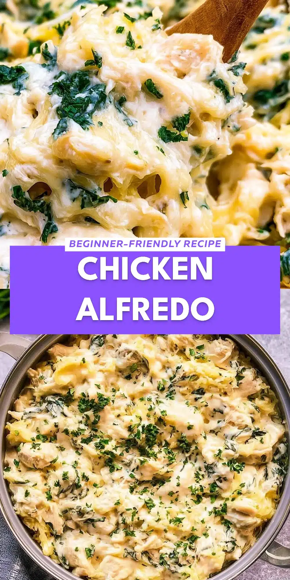 Chicken Alfredo