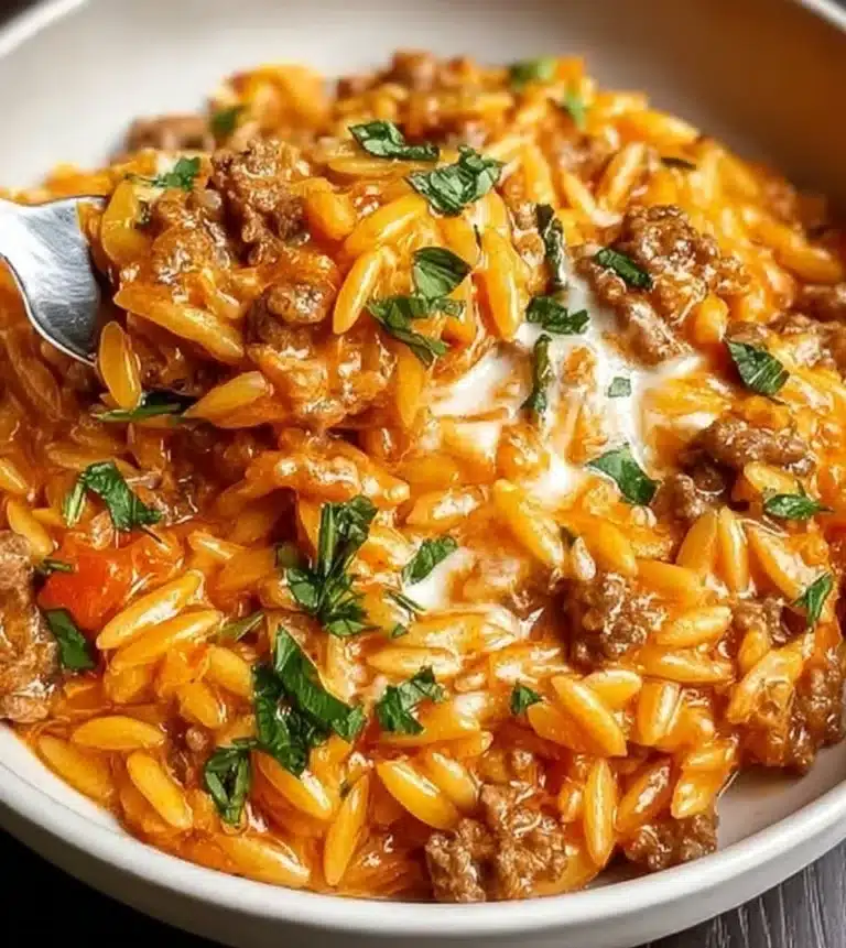 Delicious Ground Beef Orzo recipe with herbs and spices.