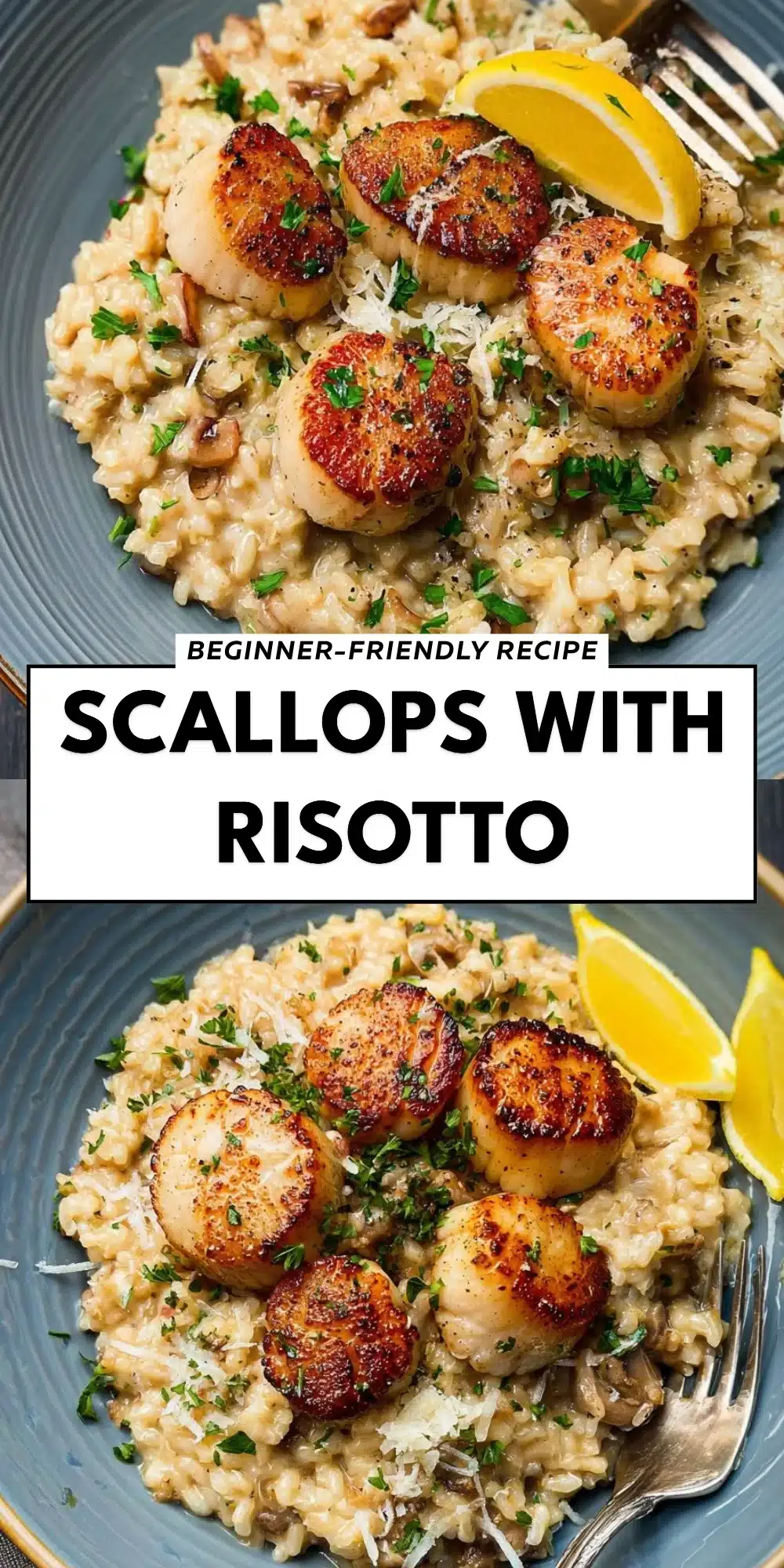 Scallops With Risotto