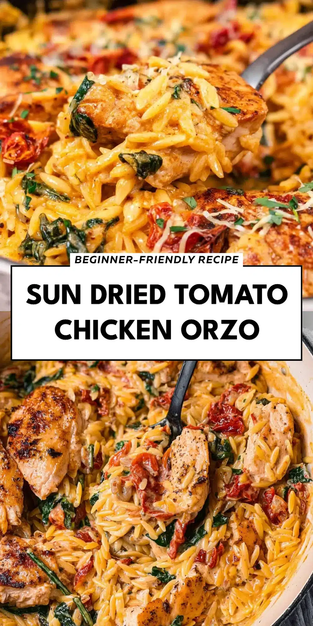 Sun Dried Tomato Chicken Orzo